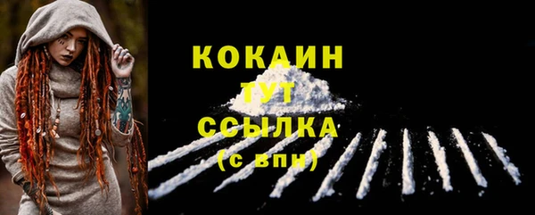 шишки Наволоки