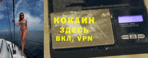 шишки Наволоки