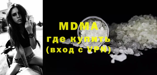 индика Новодвинск