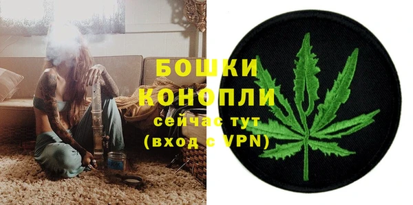 шишки Наволоки