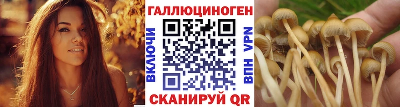 хочу наркоту  Сланцы  Псилоцибиновые грибы ЛСД 